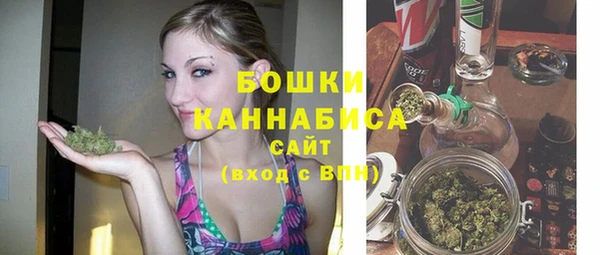 сатива Дмитров