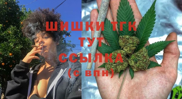 сатива Дмитровск