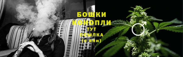 сатива Дмитров