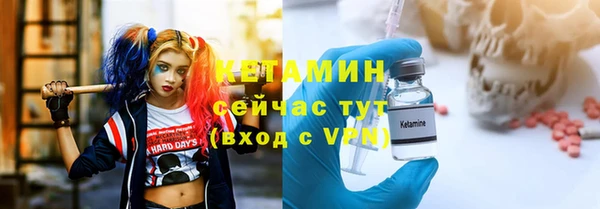 сатива Дмитровск