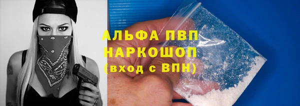 сатива Дмитровск