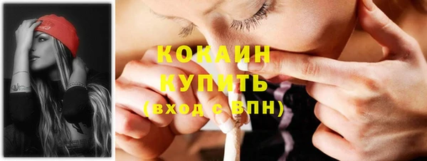 сатива Дмитров