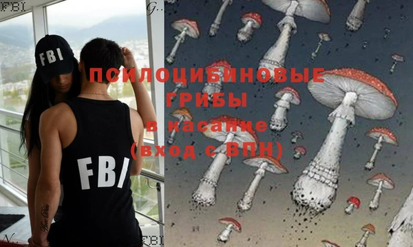 сатива Дмитровск
