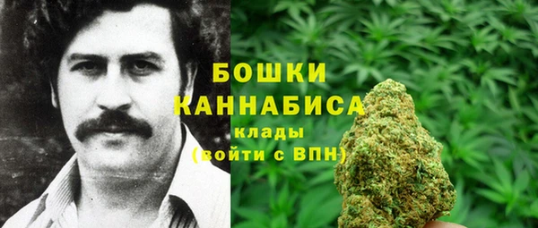 сатива Дмитров
