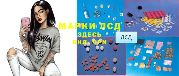 сатива Дмитровск