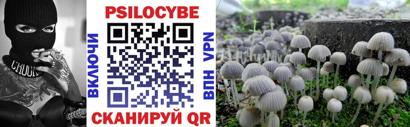 Купить где  Медвежьегорск  Псилоцибиновые грибы MAGIC MUSHROOMS 